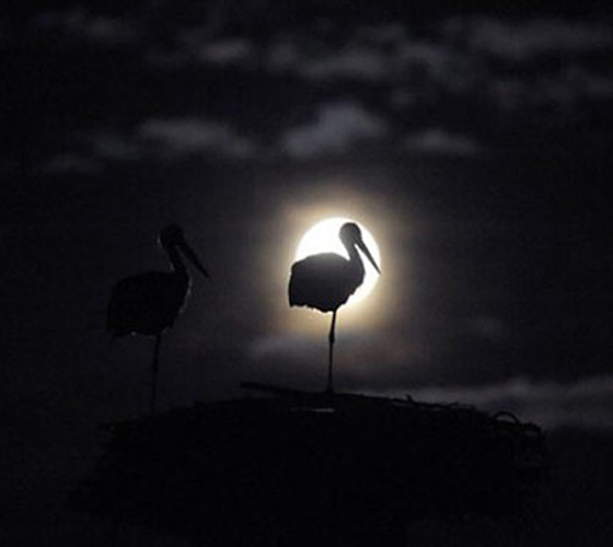 Night-Life Photography – An Awesome Collection