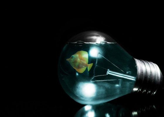 Dark and Surreal Photo Manipulations