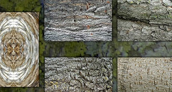 Showcase of an Ultimate Collection of Professional Textures