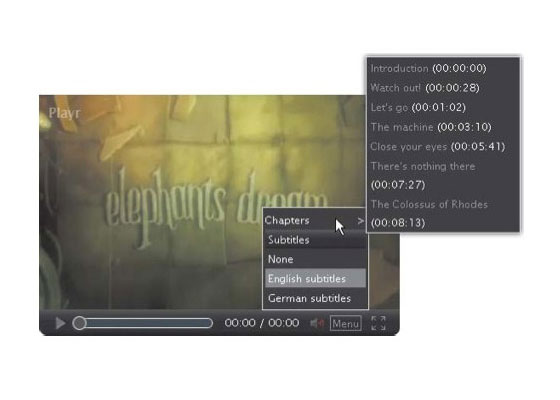 Multimedia and Accessibility
