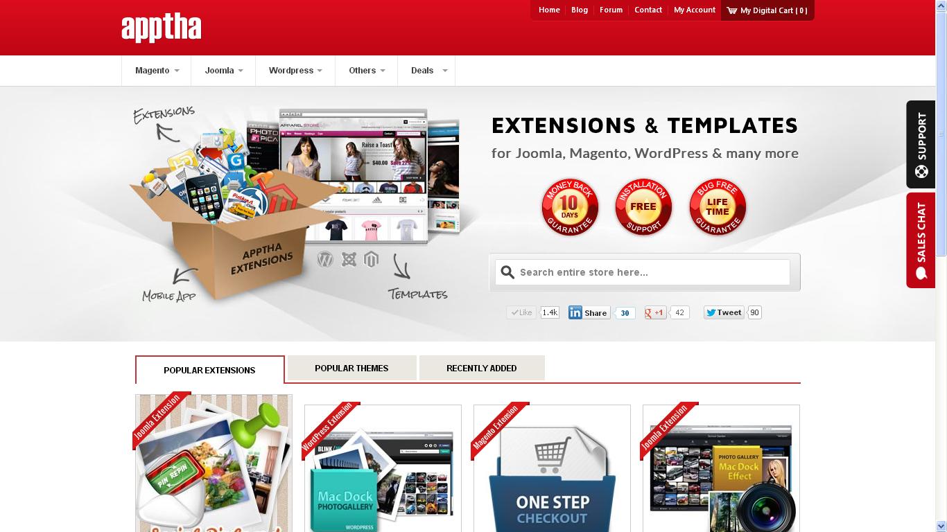 wordpress themes