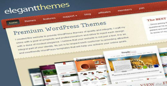 wordpress themes