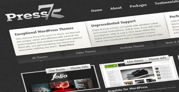 wordpress themes