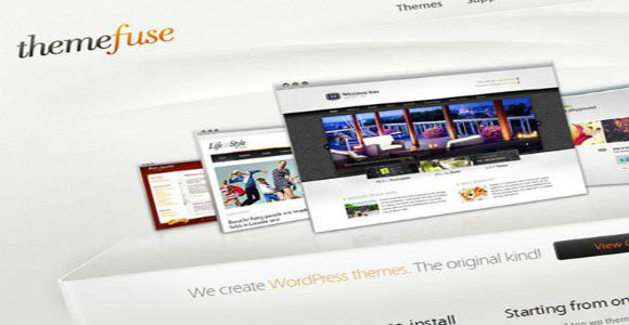 wordpress themes