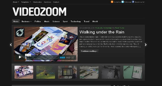 VideoZoom