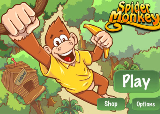 Spider Monkey