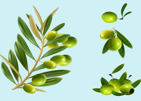 olives