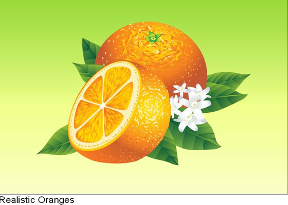 realistic-oranges