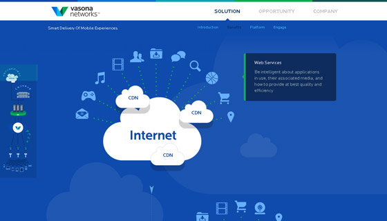 vasonanetworks