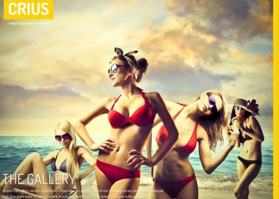 WordPress Theme Collection