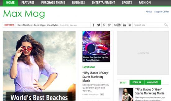Magazine wordpress themes