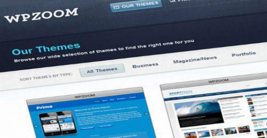 Premium WordPress Themes