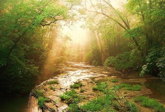 Sunlight Photography