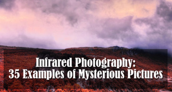 Infrared Photography